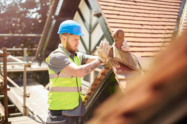 Roof Gutter Cleaning in Eastern Goleta Valley, CA